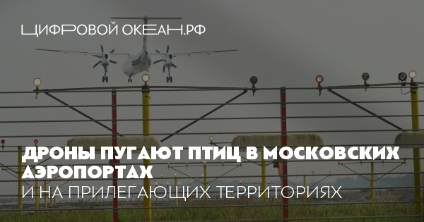 Дроны пугают птиц в московских аэропортах. И на прилегающих территориях