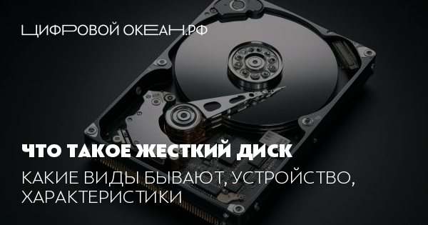 Жесткий диск: что это, для чего нужен, виды, как выглядит